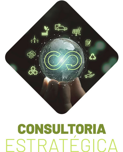 Consultoria Ambiental