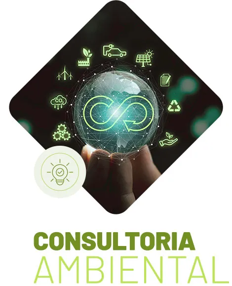 Consultoria Ambiental